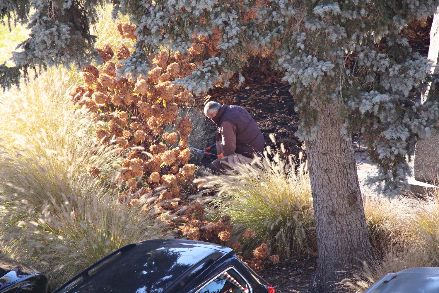 11 listopada… Najpierw sprzątanie, potem świętowanie…